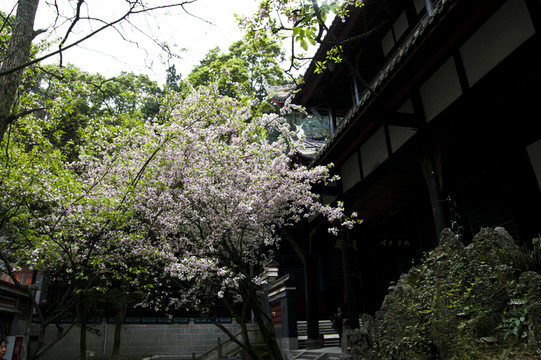 都江堰 二王廟