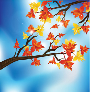 紅色和黃色的葉子