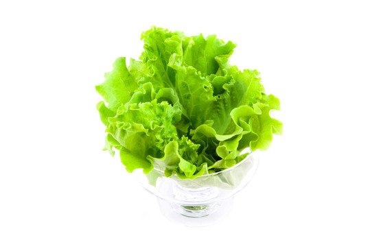 新鮮的生菜