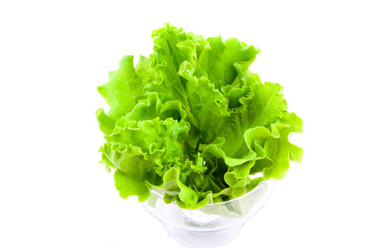 新鮮的生菜