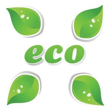 ecology4