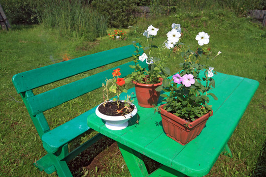 夏季花園里的花園家具