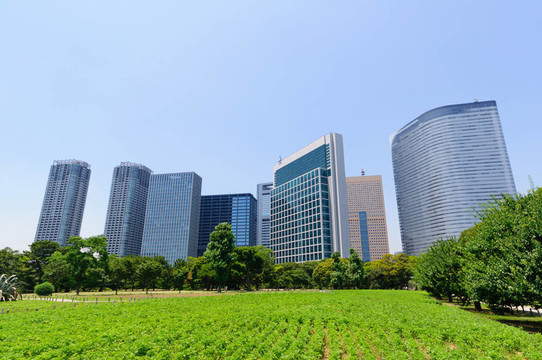 東京；日本