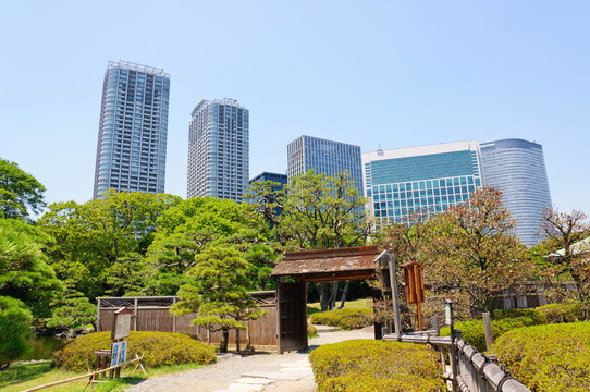 東京；日本
