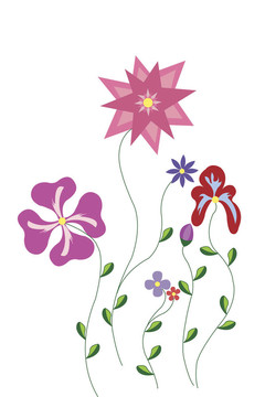 花型插圖