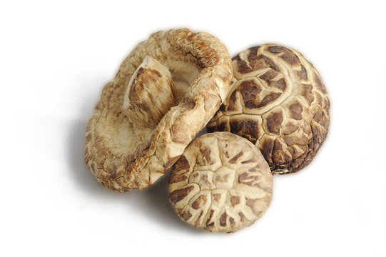 離體干燥的冬蘑菇