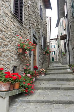 圣奎里科（Svizzera Pesciatina；托斯卡納）