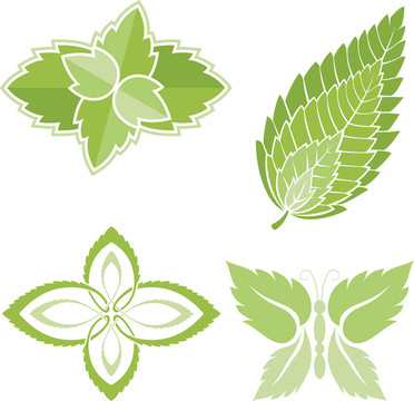 薄荷葉的圖標(biāo)