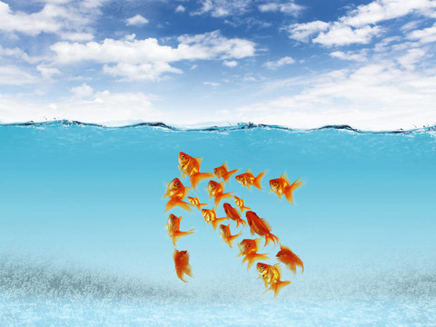 游泳金魚和金錢符號