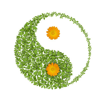 花的陰陽符號和圖標(biāo)；