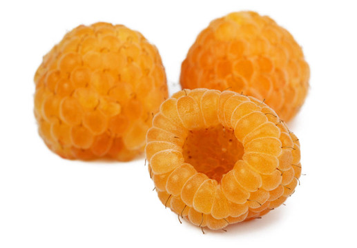 漿果黃莓