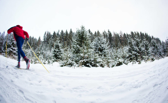 青年越野滑雪