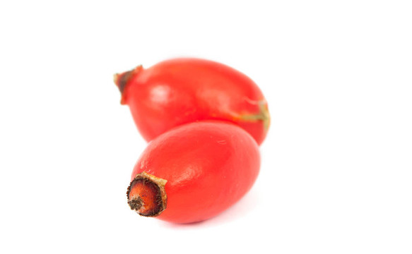 狗薔薇