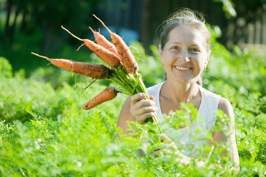 成熟的女人選擇carrot