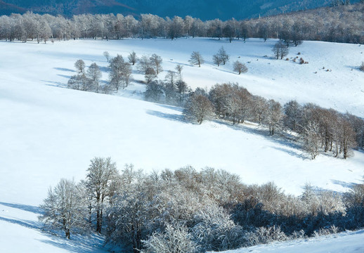 第一次冬季雪和高山山毛櫸森林