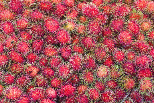 rrambutan；熱帶水果