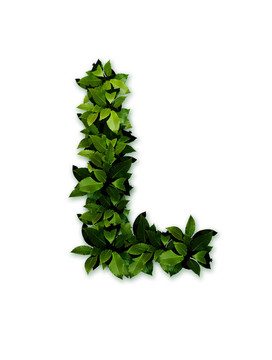 信離開(kāi)我