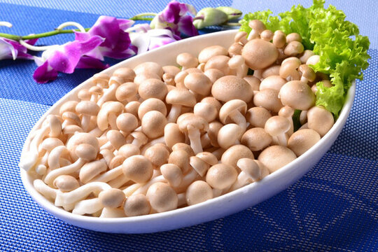 蟹味菇