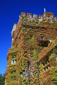Hatley Castle；Victoria；公元前；加拿大