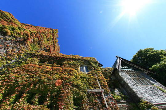 Hatley Castle；Victoria；公元前；加拿大