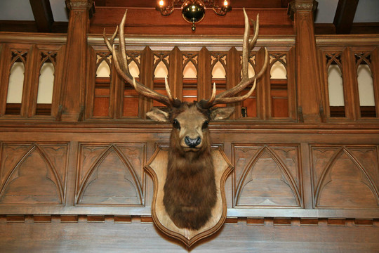 室內(nèi)的Hatley Castle；Victoria加拿大；公元前；