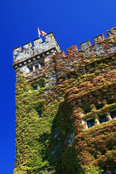 Hatley Castle；Victoria；公元前；加拿大