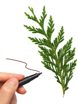 離開你的消息