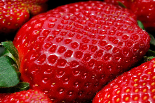 新鮮美味的Strawberry