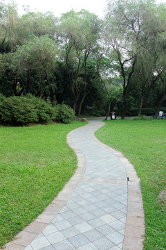草地小路