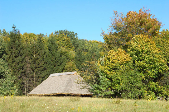 在古代carpatian森林小屋