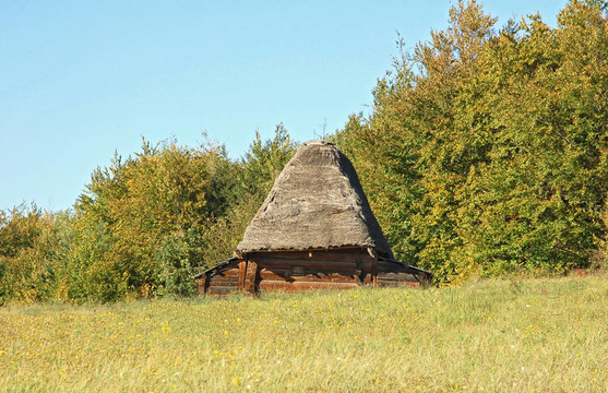 在古代carpatian森林小屋