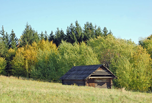 在古代carpatian森林小屋
