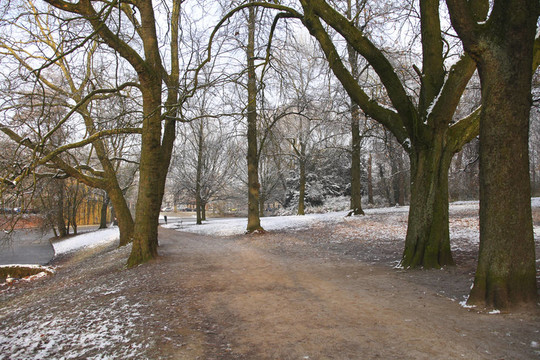 在雪中穿过树木的小径