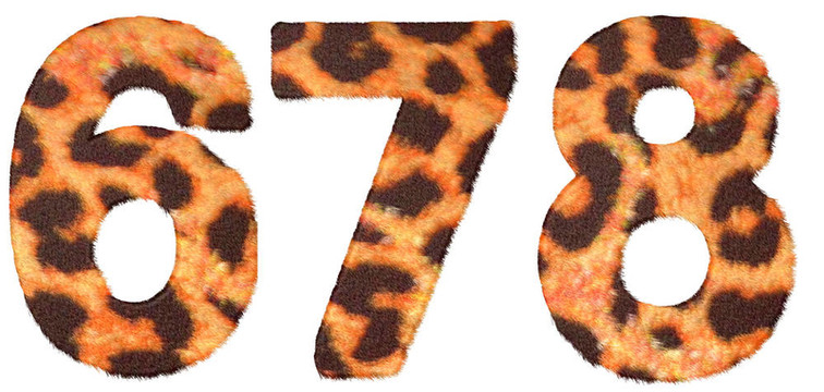 豹皮7 6和8的數(shù)字隔離
