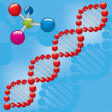 分子DNA