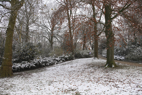 秋天的一個(gè)公園里的雪
