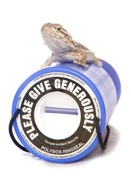 爬行動物的慈善捐款