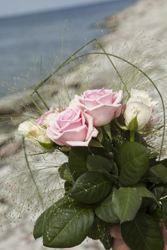 一束粉红色和白色的玫瑰