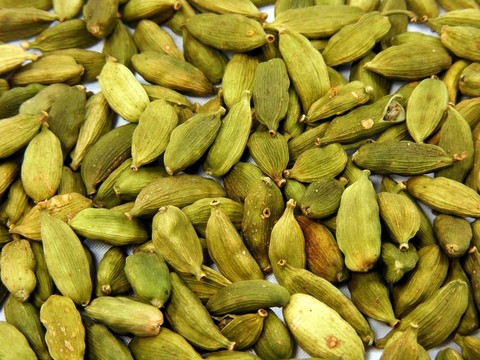 豆蔻籽