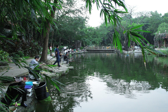 釣魚(yú)