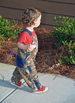 幼兒到戶外散步