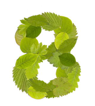 綠葉數(shù)