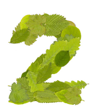 綠葉數(shù)