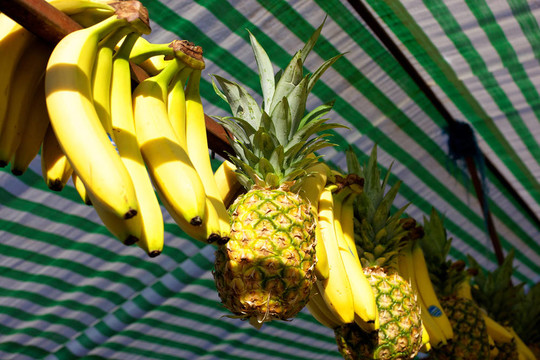香蕉和菠蘿