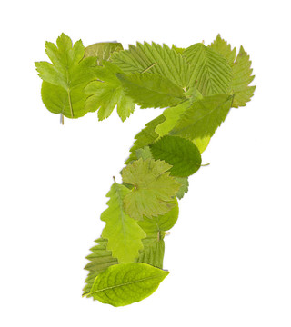 綠葉數(shù)