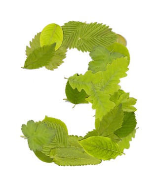 綠葉數(shù)