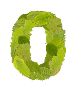 綠葉數(shù)