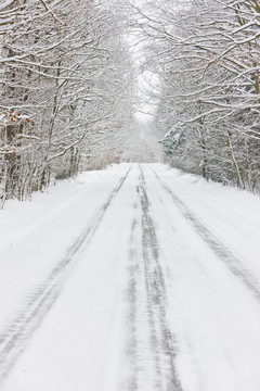 雪道；捷克共和國