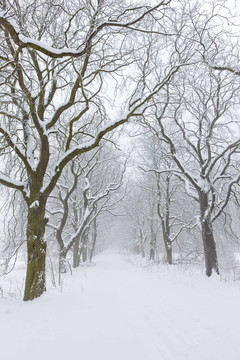 雪道；捷克共和國(guó)