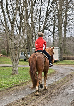 騎著馬的年輕男孩
